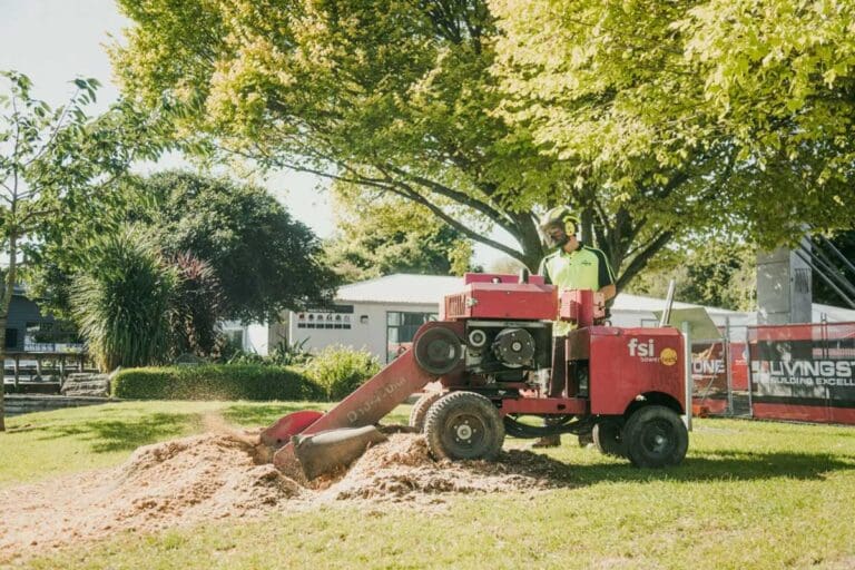 Arborists & Tree Services - Cambridge & Hamilton | Groundzone